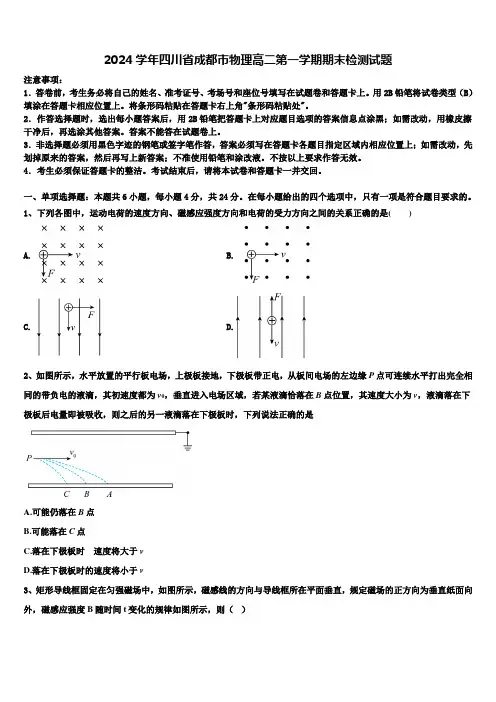 2024学年四川省成都市物理高二第一学期期末检测试题含解析