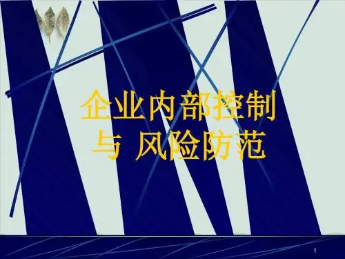企业内部控制与风险防范PPT课件( 102页)