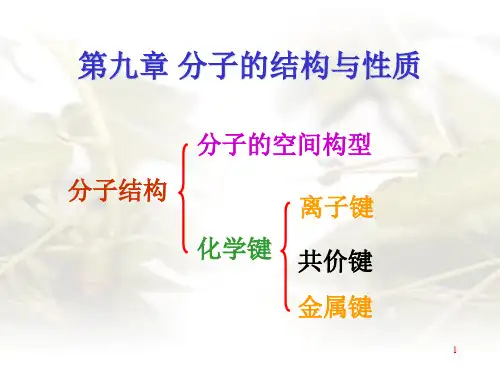基础化学第九章分子结构