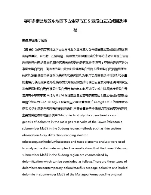 鄂尔多斯盆地苏东地区下古生界马五5亚段白云岩成因及特征