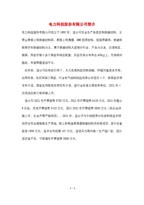 电力科技股份有限公司简介
