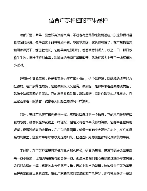 适合广东种植的苹果品种