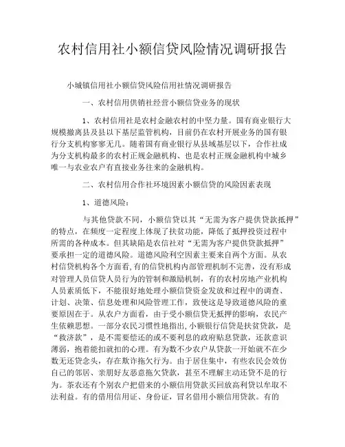 农村信用社小额信贷风险情况调研报告