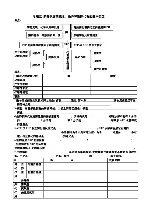 高三生物复习——生物的新陈代谢新陈代谢 新陈代谢.doc
