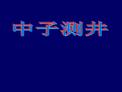中子测井原理8资料