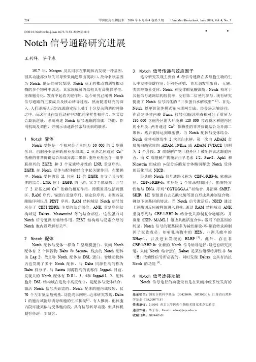 Notch信号通路研究进展