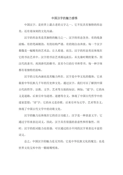 中国汉字的魅力感悟