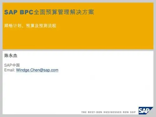 SAP全面预算管理解决方案