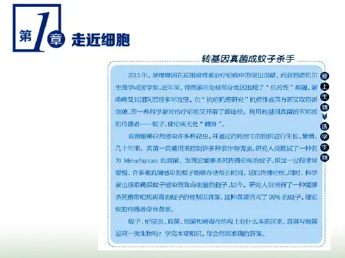 新教材高中生物第一章第1节细胞是生命活动的基本单位课件新人教版必修第一册
