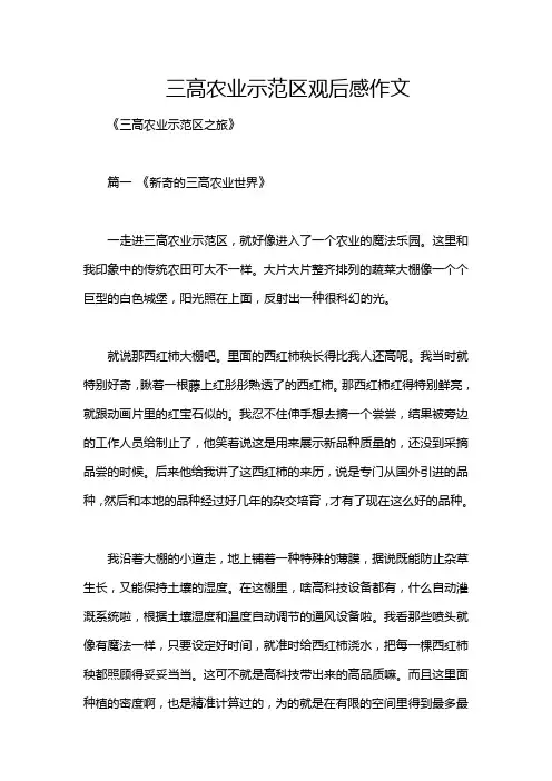 三高农业示范区观后感作文