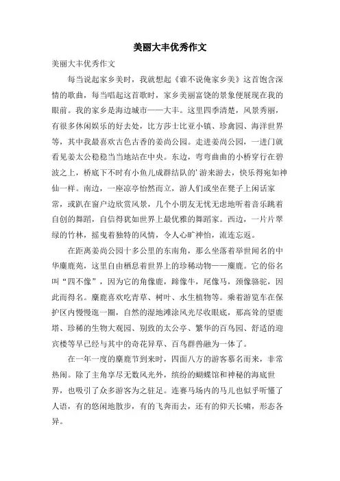 美丽大丰优秀作文