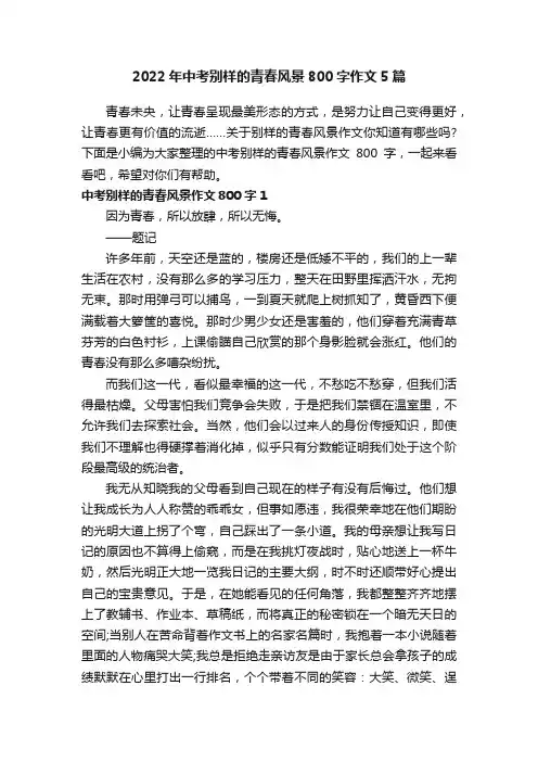 2022年中考别样的青春风景800字作文5篇
