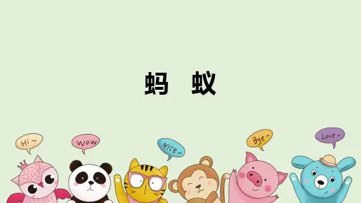 科学大象版一上《蚂蚁》同步课件