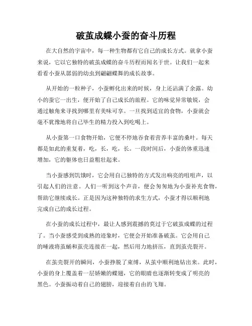 破茧成蝶小蚕的奋斗历程