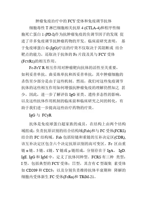肿瘤免疫治疗中的Fcγ受体和免疫调节抗体