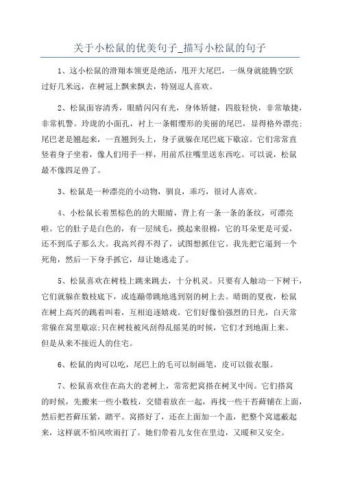 关于小松鼠的优美句子_描写小松鼠的句子