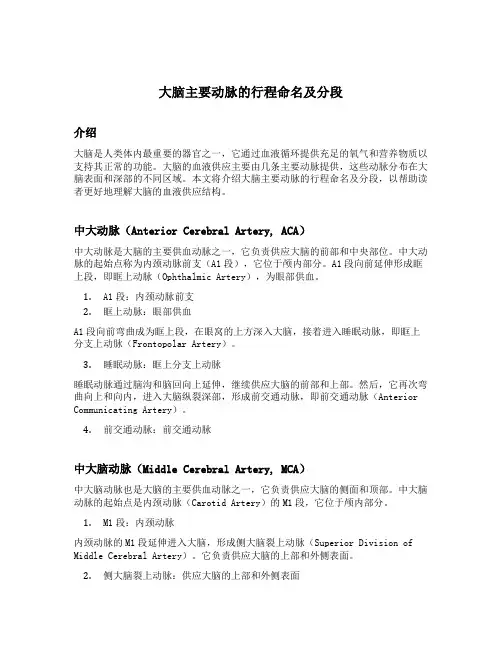 简述大脑主要动脉的行程命名及分段