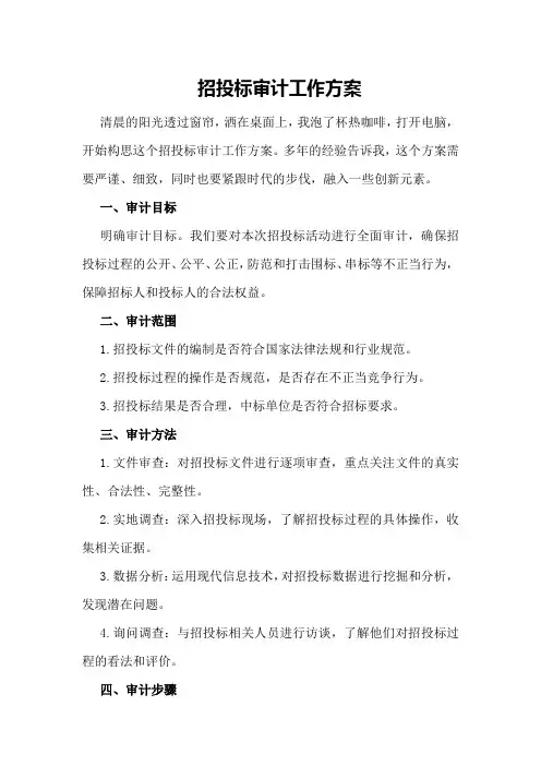 招投标审计工作方案