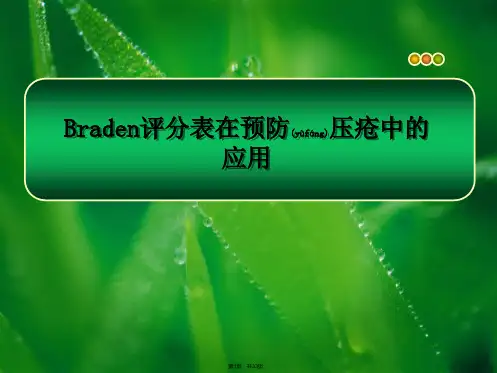 Braden评分表(共33张)