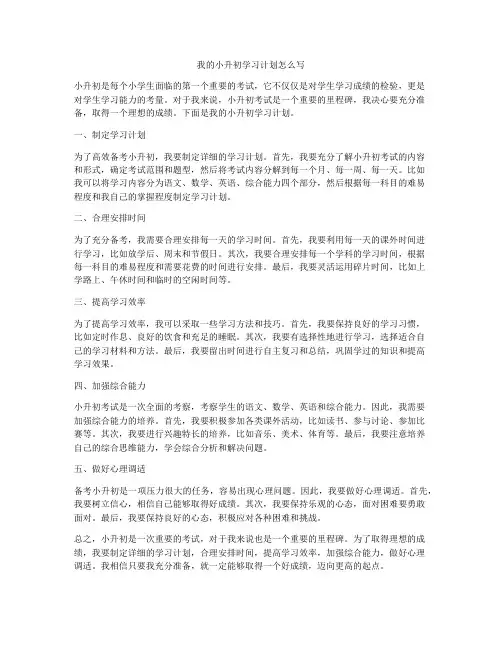 我的小升初学习计划怎么写