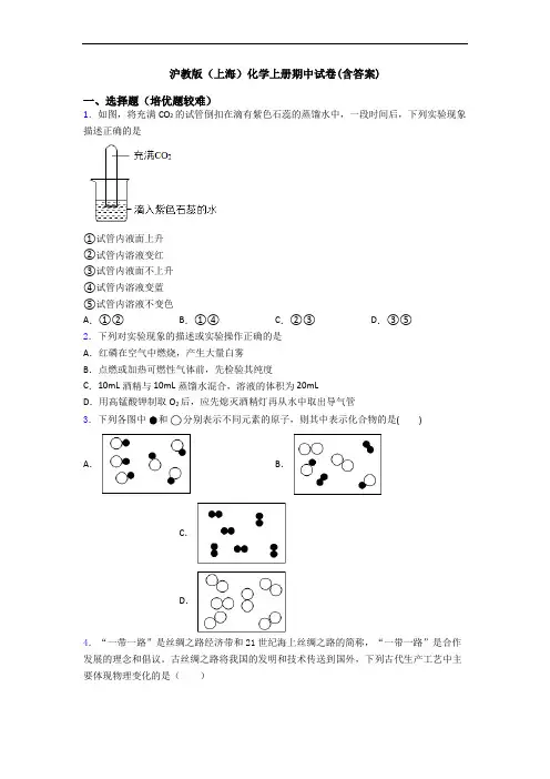 沪教版(上海)化学初三化学上册期中试卷(含答案)