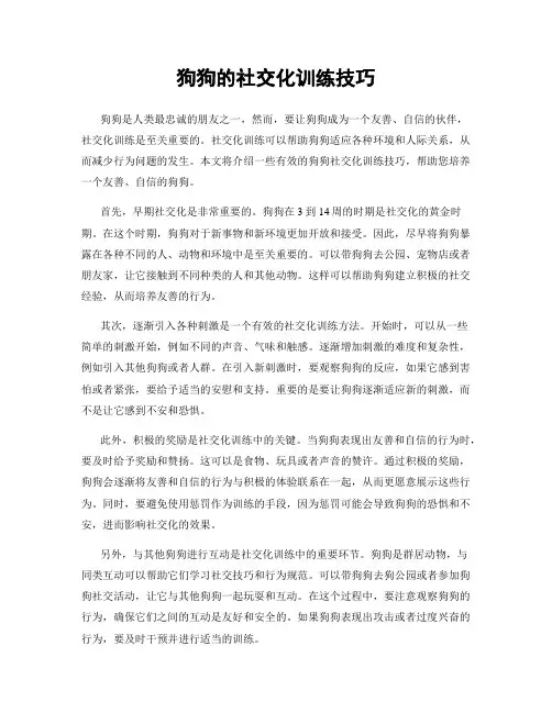 狗狗的社交化训练技巧