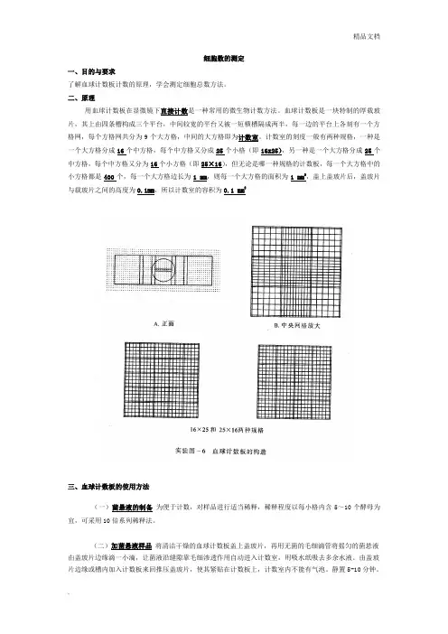 细胞数的测定(血球计数板的使用方法)