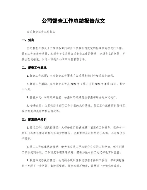 公司督查工作总结报告范文