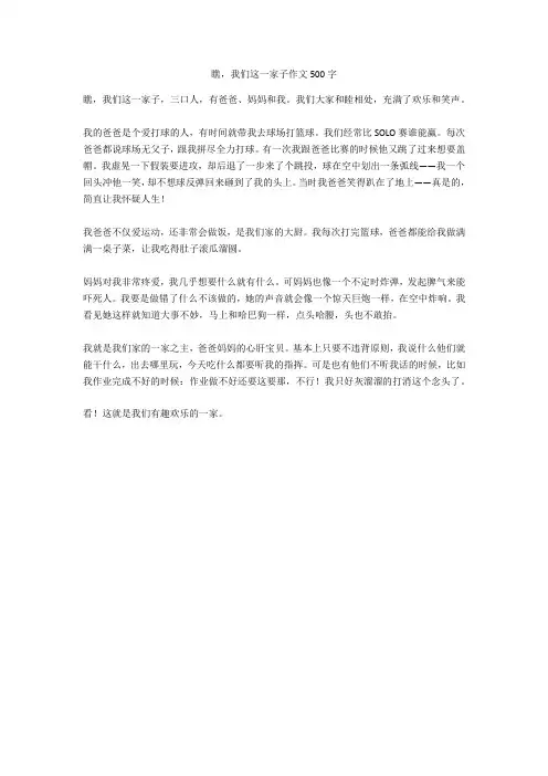 瞧,我们这一家子作文500字完美版