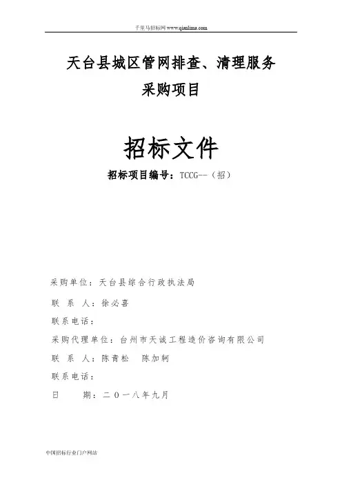 城区管网排查、清理服务采购项目招投标书范本