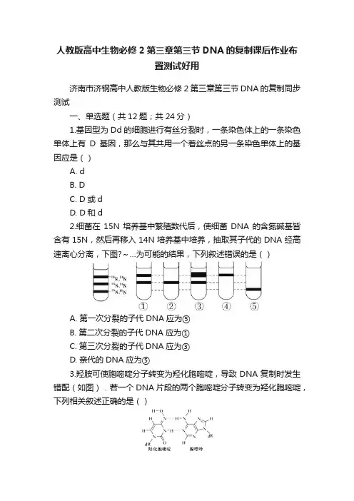 人教版高中生物必修2第三章第三节DNA的复制课后作业布置测试好用