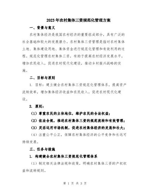 2023年农村集体三资规范化管理方案