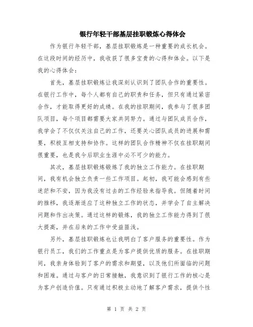 银行年轻干部基层挂职锻炼心得体会