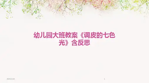 (2024年)幼儿园大班教案《调皮的七色光》含反思
