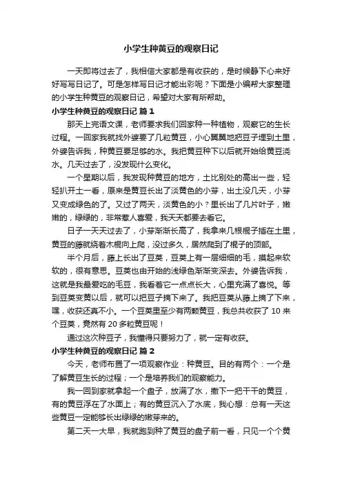 小学生种黄豆的观察日记（精选15篇）