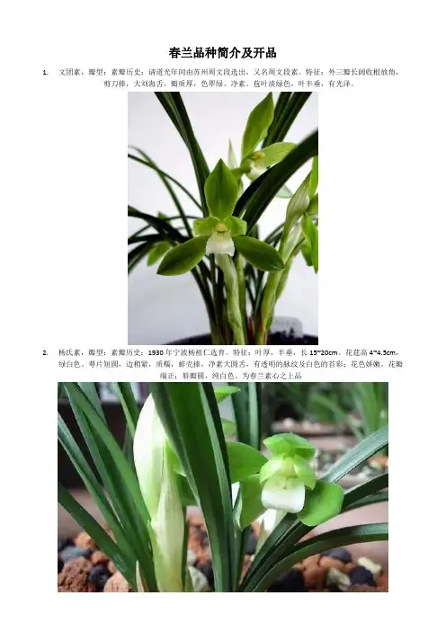 春兰品种简介及开品