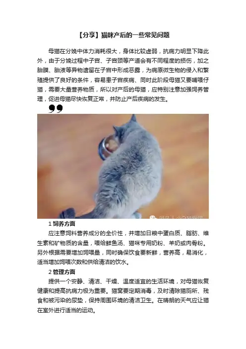 【分享】猫咪产后的一些常见问题