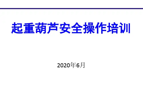 起重葫芦安全操作培训资料