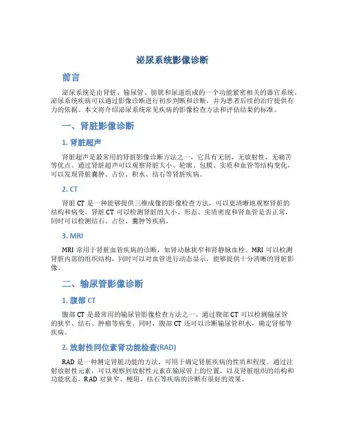 泌尿系统影像诊断