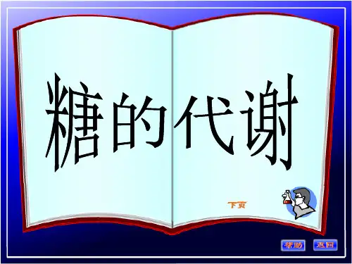 糖代谢最新PPT医学课件