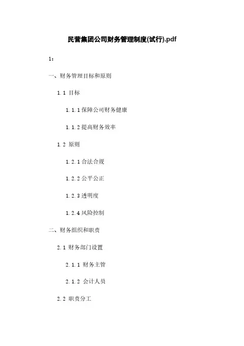 民营集团公司财务管理制度(试行)