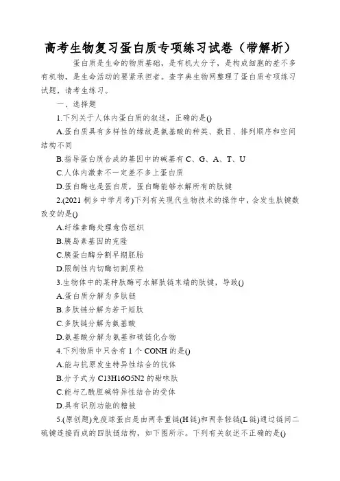 高考生物复习蛋白质专项练习试卷(带解析)