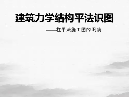 建筑力学结构平法识图(PPT33页)