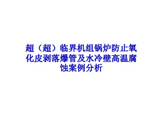 超超临界机组锅炉氧化皮剥落爆管及水冷壁高温腐蚀案例分析