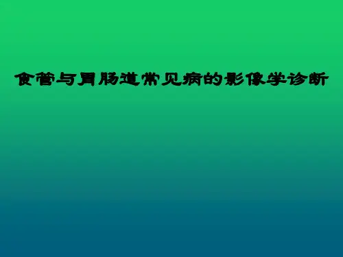 食管与胃肠道常见病影像学诊断
