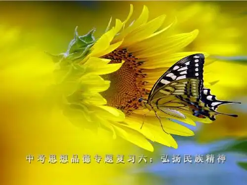 中考思想品德专题复习六：弘扬民族精神