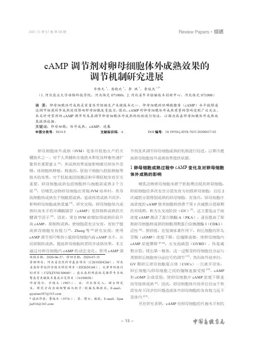 cAMP调节剂对卵母细胞体外成熟效果的调节机制研究进展