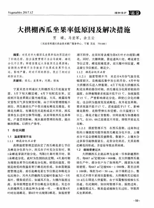 大拱棚西瓜坐果率低原因及解决措施