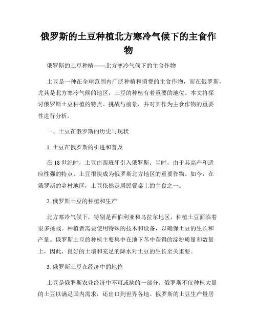 俄罗斯的土豆种植北方寒冷气候下的主食作物
