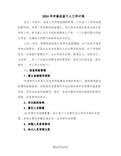 2024年市场总监个人工作计划（七篇）